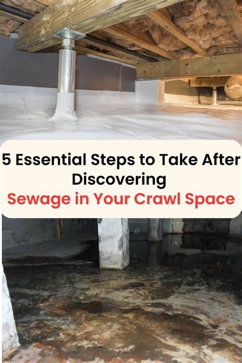 sewage leak in crawl space|Step